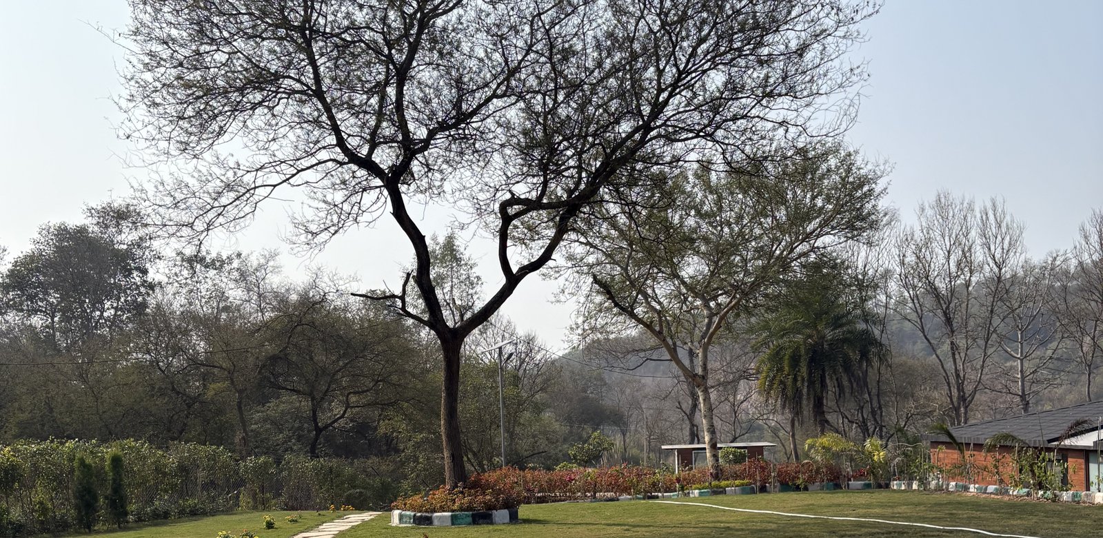 Modern conference room with a wooden table, leather chairs, a wall-mounted TV, and large windows overlooking a garden.